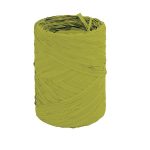 Fita de Presente 12,5mmX100m Verde Un.